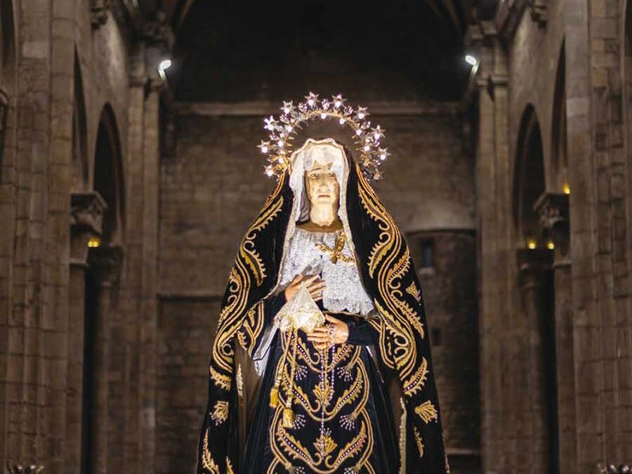 Ganador del Concurso fotográfico 2025